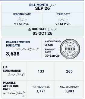 Due date, payable within due date and late payment surcharge section of a bill