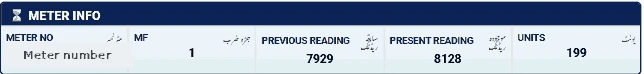 Meter info section of a bill showing previous reading 7929, present reading 8128 and 199 units